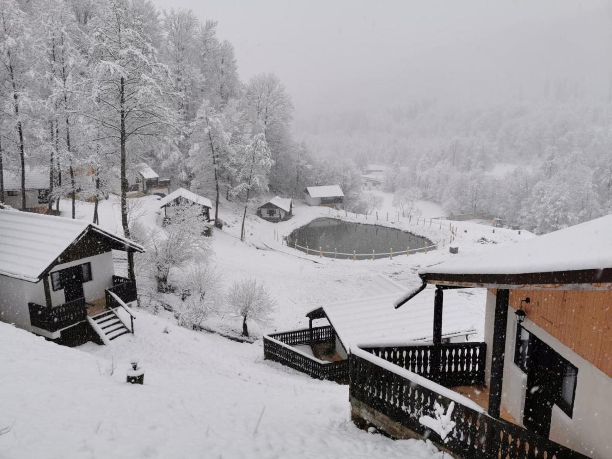 Guest house Satu Muscelean Albestii de Muscel