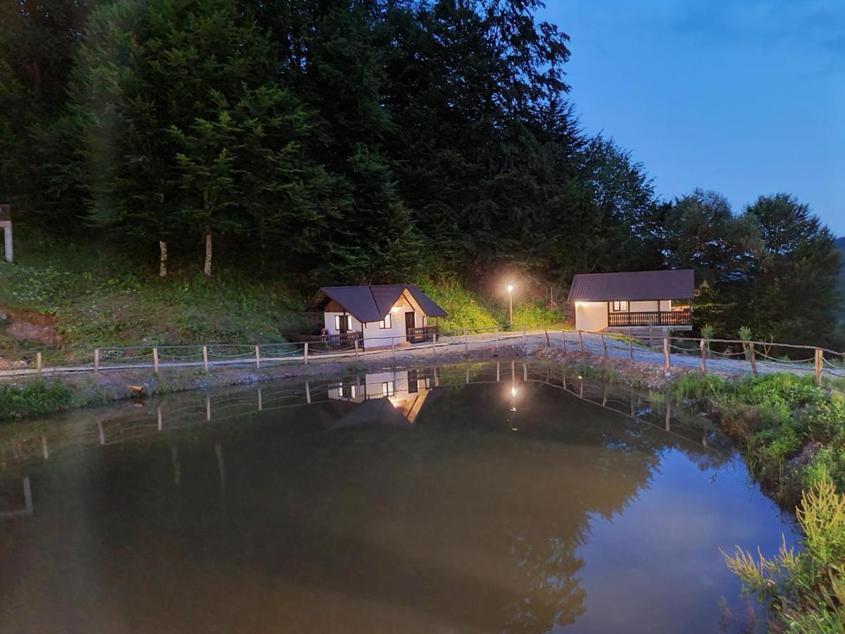 Guest house Satu Muscelean Albestii de Muscel