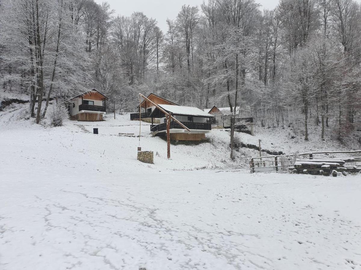 Satu Muscelean Guest house Albestii de Muscel
